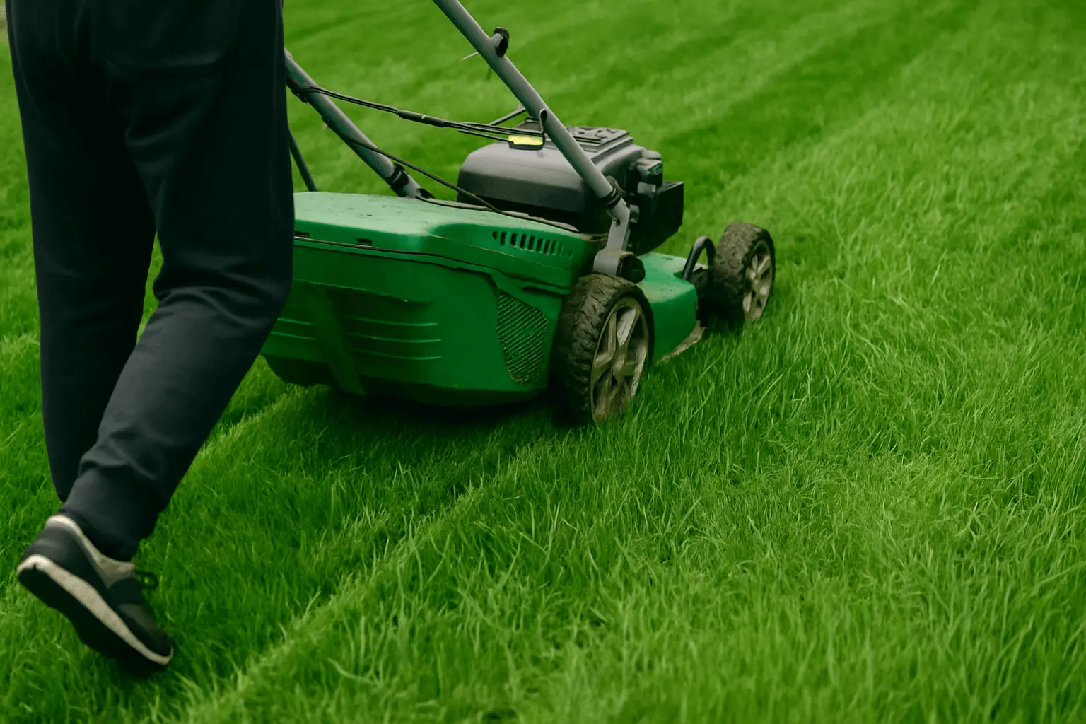 Homme poussant une tondeuse sur une pelouse bien verte : service de jardinage à domicile