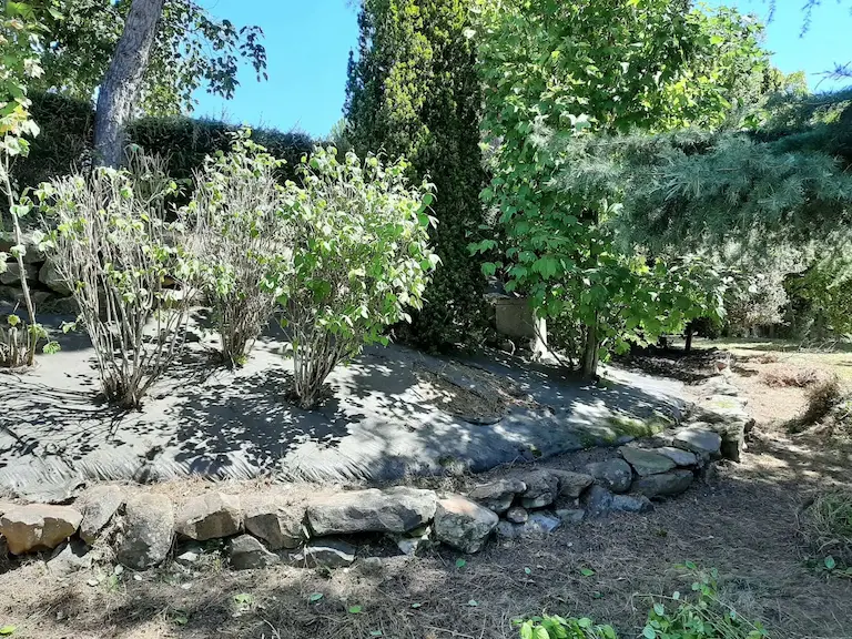 Photo de réalisation de parterre