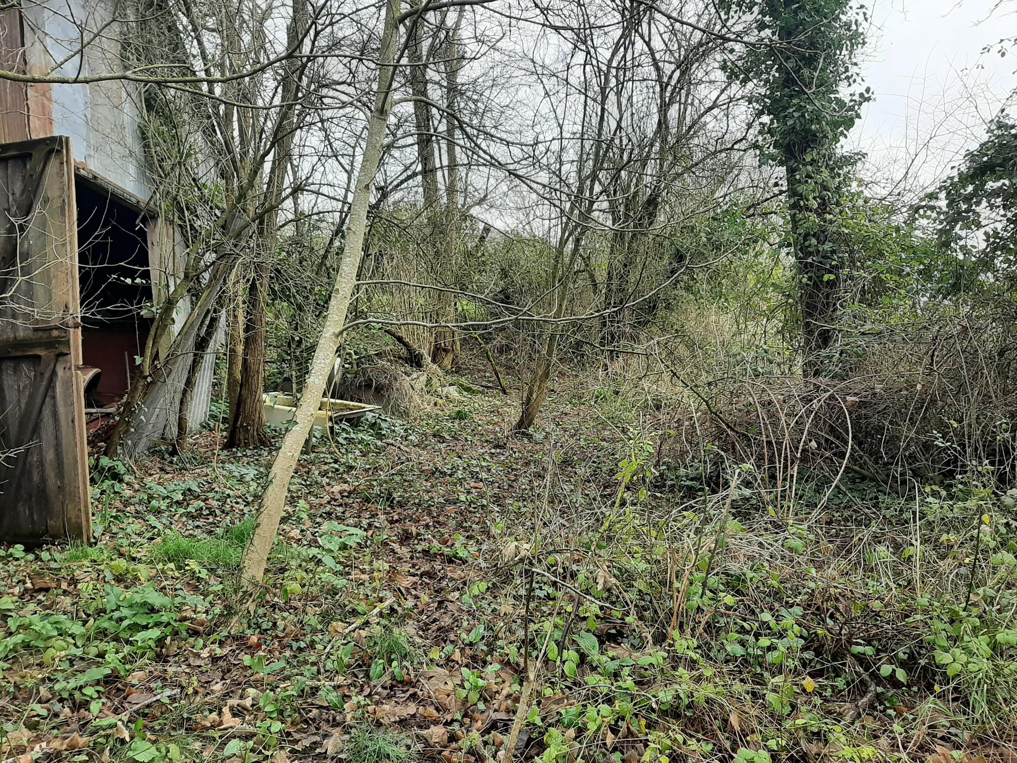 Photo avant - Entretien jardin
